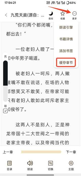 缓存章节页面截图
