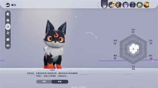 宠物养成攻略