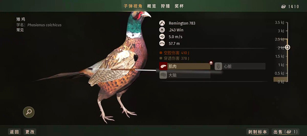 新手玩法指南截图5