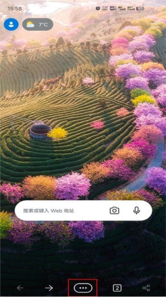 夜间模式设置