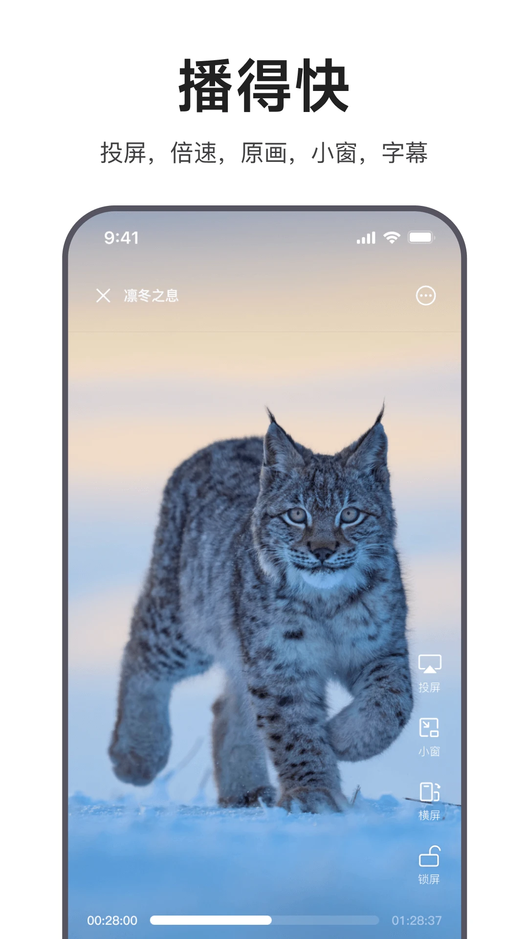 迅雷浏览器app下载 第1张图片