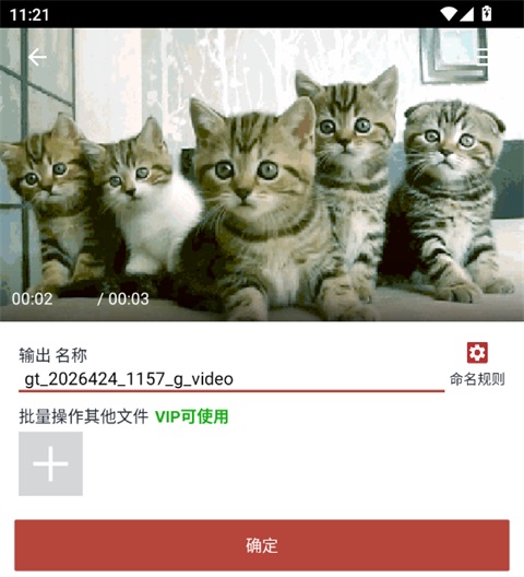 GIF转视频命名确认界面截图