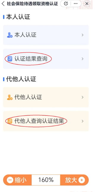 养老认证流程截图4