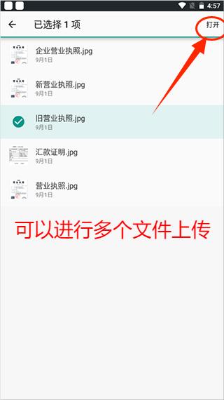 选择上传文件类型截图