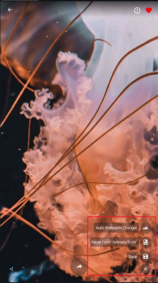 壁纸保存按钮界面截图