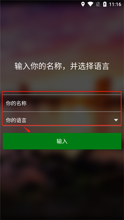 名称和语言填写页面截图