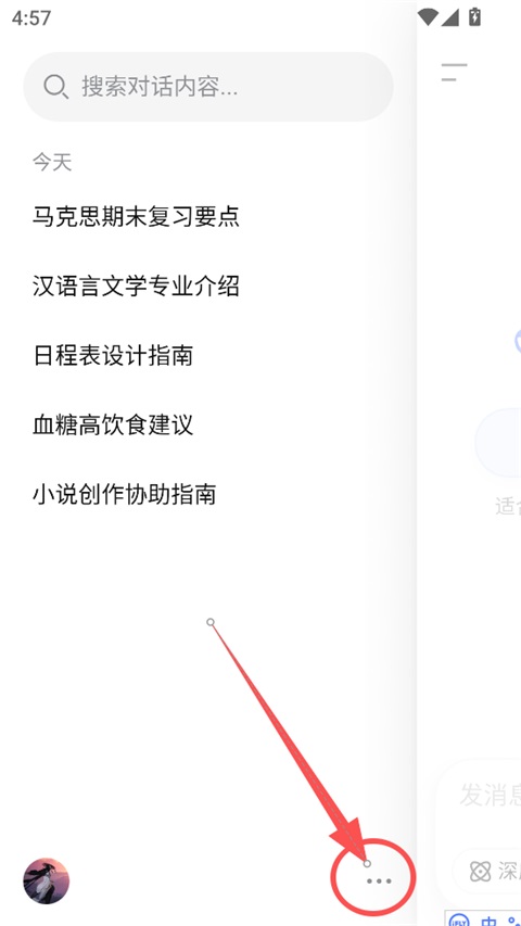DeepSeek更多设置入口截图
