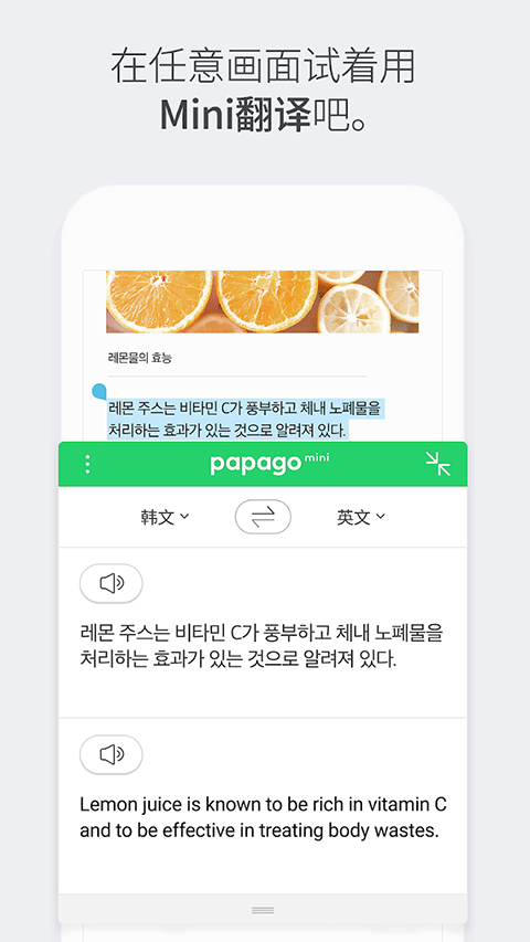 Papago官方正版下载第2张截图