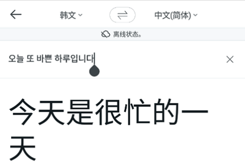 如何进行离线翻译截图5