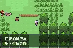 选择初始精灵界面截图
