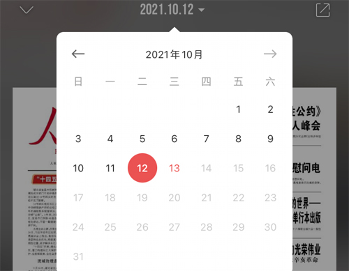 往期报纸日期选择截图