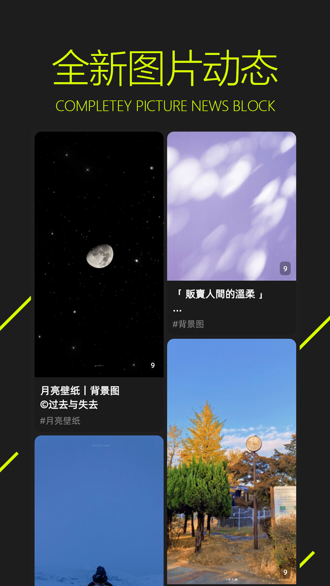 图凌壁纸app第2张截图