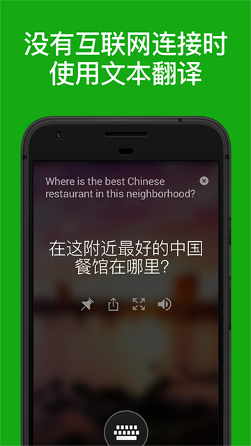 微软翻译下载app第5张截图